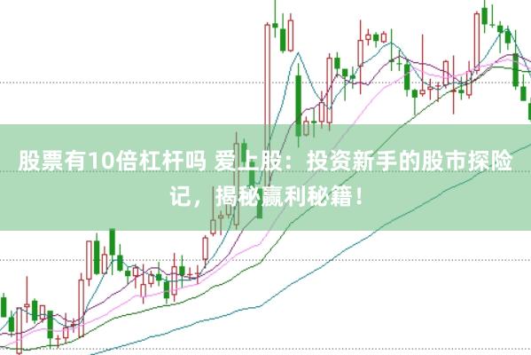 股票有10倍杠杆吗 爱上股：投资新手的股市探险记，揭秘赢利秘籍！