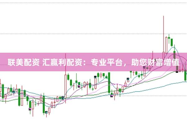 联美配资 汇赢利配资：专业平台，助您财富增值
