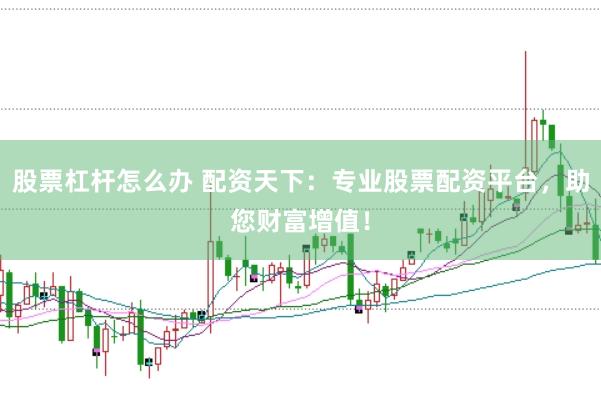 股票杠杆怎么办 配资天下：专业股票配资平台，助您财富增值！