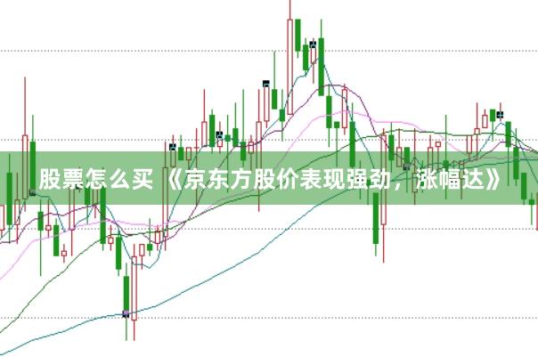 股票怎么买 《京东方股价表现强劲，涨幅达》