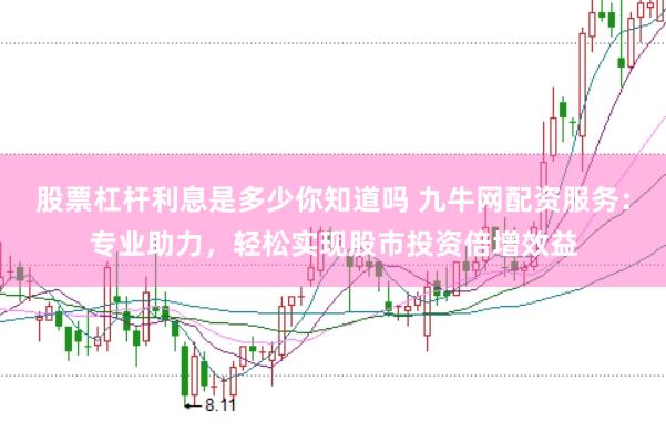 股票杠杆利息是多少你知道吗 九牛网配资服务：专业助力，轻松实现股市投资倍增效益