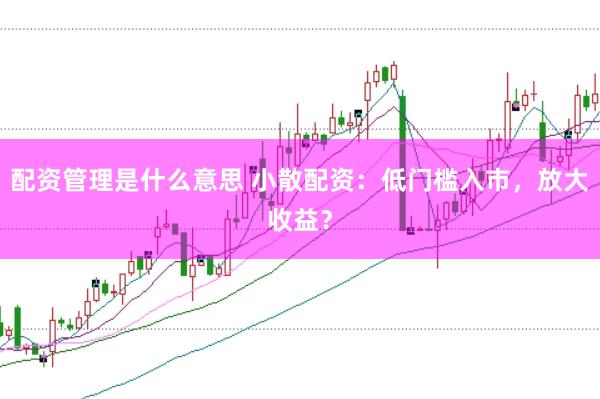 配资管理是什么意思 小散配资：低门槛入市，放大收益？
