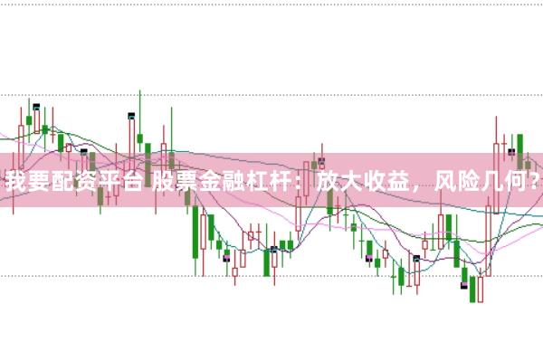 我要配资平台 股票金融杠杆：放大收益，风险几何？