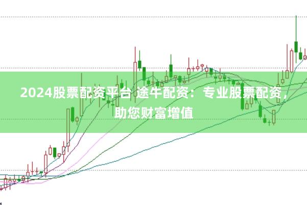 2024股票配资平台 途牛配资：专业股票配资，助您财富增值