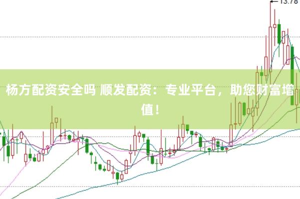 杨方配资安全吗 顺发配资：专业平台，助您财富增值！