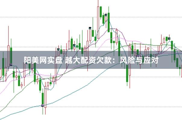 阳美网实盘 越大配资欠款：风险与应对