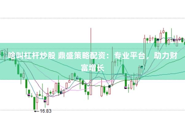 啥叫杠杆炒股 鼎盛策略配资：专业平台，助力财富增长