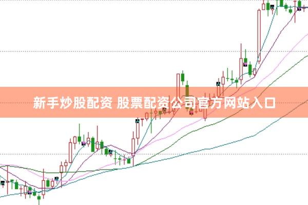 新手炒股配资 股票配资公司官方网站入口
