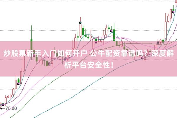 炒股票新手入门如何开户 公牛配资靠谱吗?深度解析平台安全性!