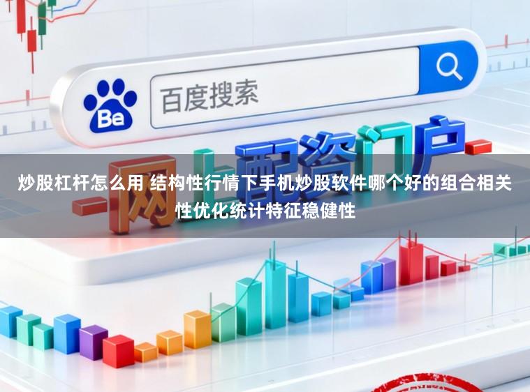 炒股杠杆怎么用 结构性行情下手机炒股软件哪个好的组合相关性优化统计特征稳健性