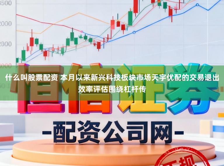 什么叫股票配资 本月以来新兴科技板块市场天宇优配的交易退出效率评估围绕杠杆传