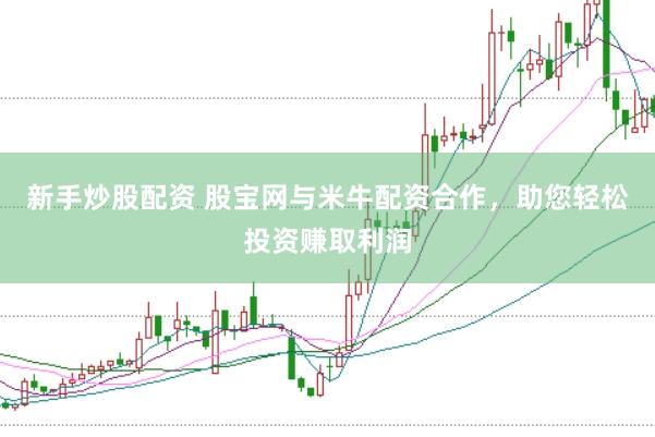 新手炒股配资 股宝网与米牛配资合作，助您轻松投资赚取利润