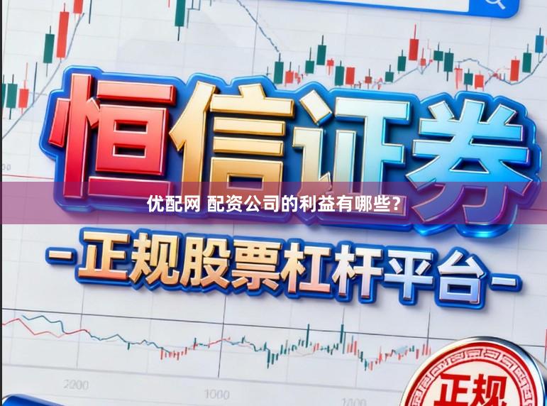优配网 配资公司的利益有哪些？